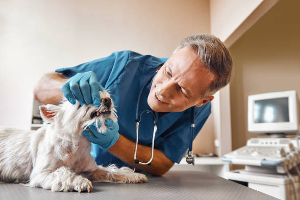 Best Cracked Tooth Emergency Dentist  in Waveland, MS